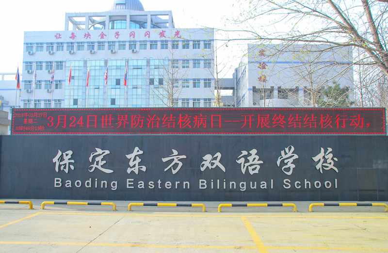 肺结核_副本.jpg